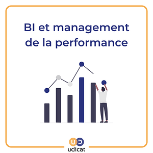 Visuel présentation article Business Intelligence et management de la performance